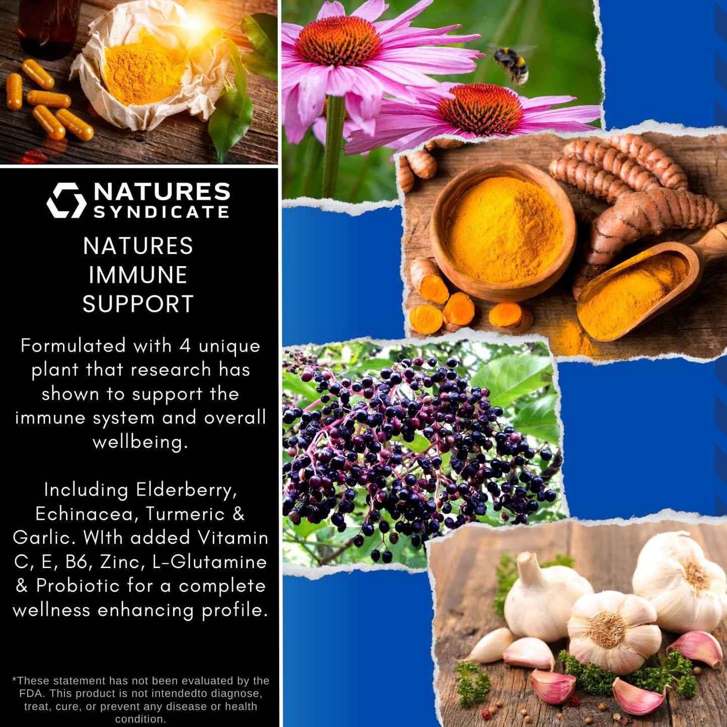 10-in-1 Immune Support Supplement with Echinacea, Elderberry, Garlic, Turmeric, Probiotic, Zinc, Vitamin C, E, B6 & L-Glutamine