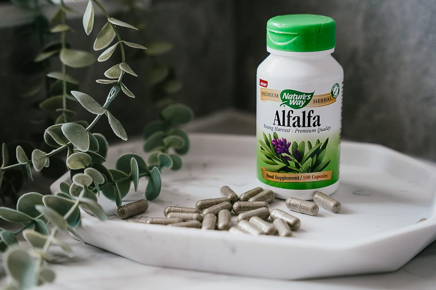 100 Capsules of Nature's Way Alfalfa Leaf Supplement for Immune Support and Digestive Health