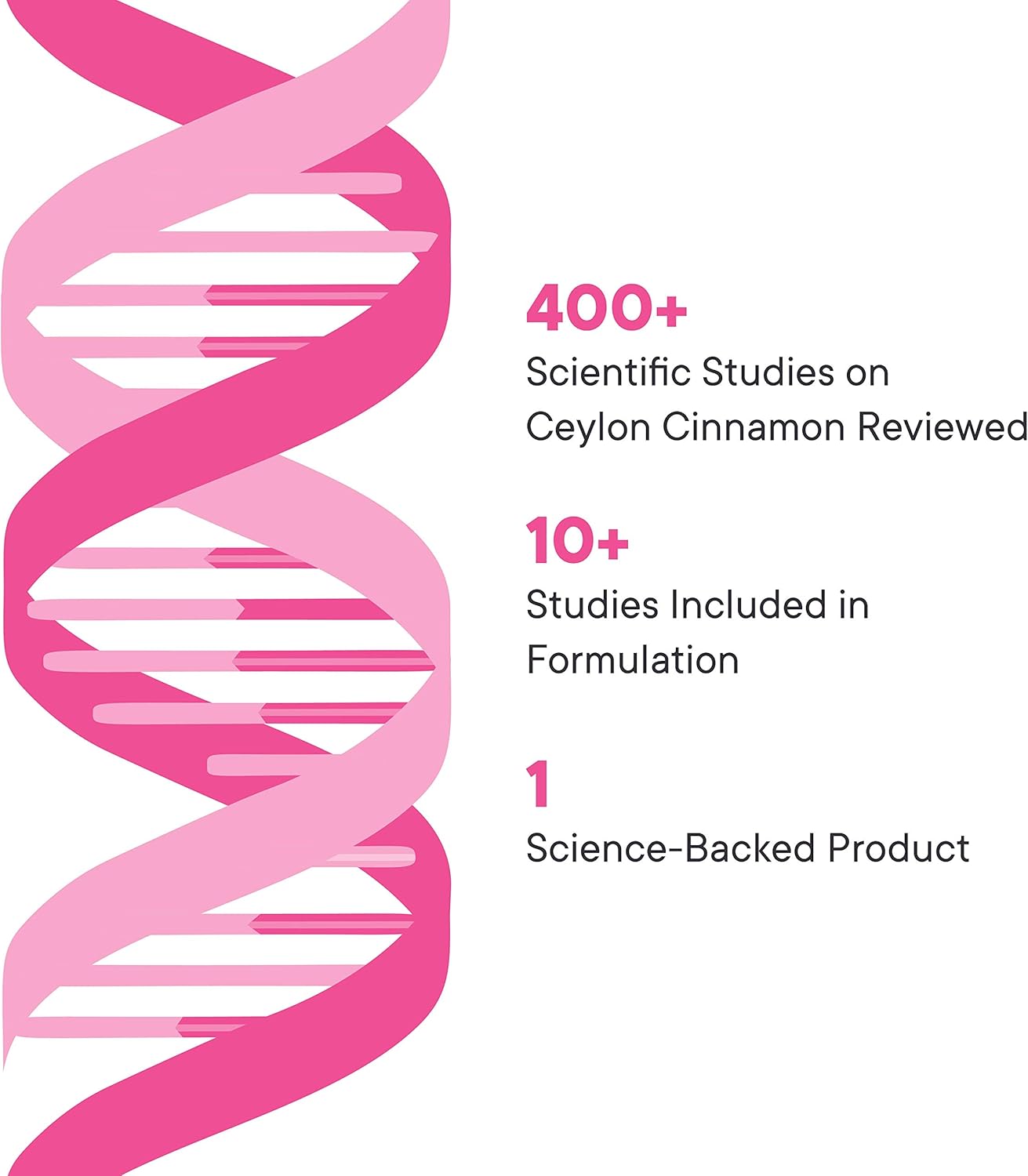1000mg Ceylon Cinnamon Extract Capsules by Illuminate Labs | Third-Party Tested for Quality | Research-Supported Formula