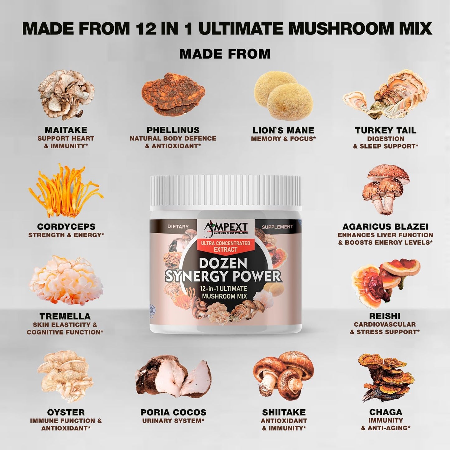 12-in-1 Synergy Power Mushroom Extracts for Immunity, Cognitive, & Heart Health - Premium Fruiting Body Complex