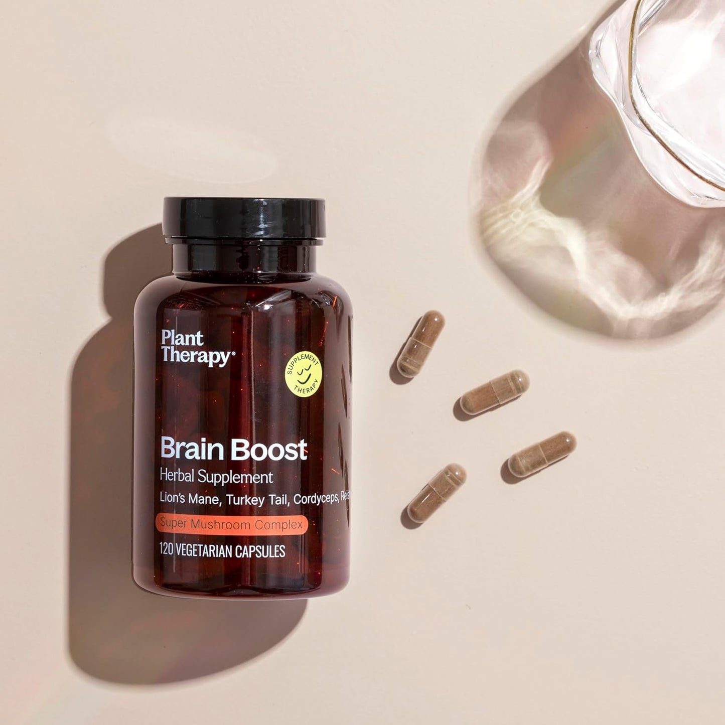 120 Plant Therapy Brain Boost Herbal Supplement Capsules - Memory & Focus Support - Neuron Function - Made in USA