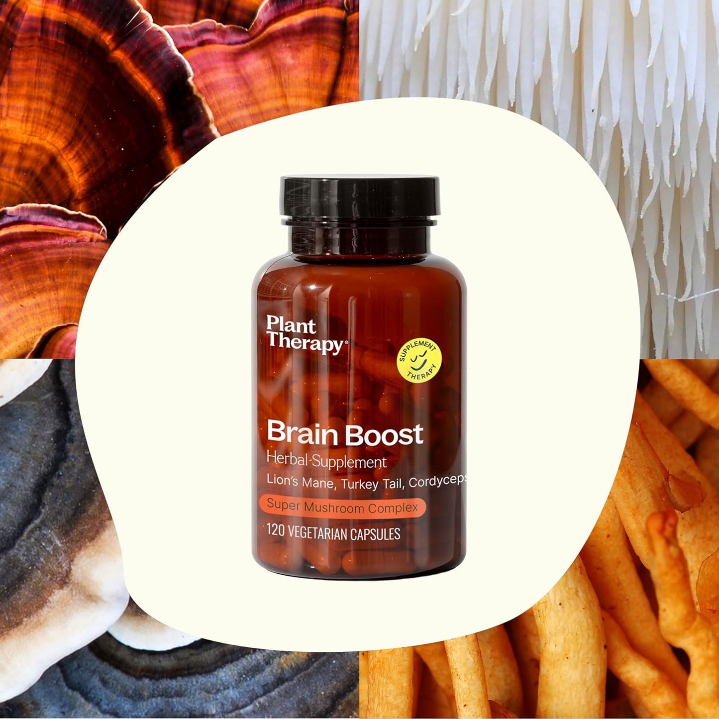 120 Plant Therapy Brain Boost Herbal Supplement Capsules - Memory & Focus Support - Neuron Function - Made in USA
