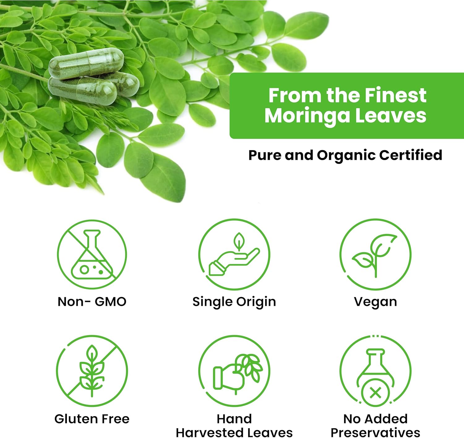 1200 mg Freeze Dried Moringa Oleifera Capsules - Immunity, Energy & Joint Health Support - 60 ct