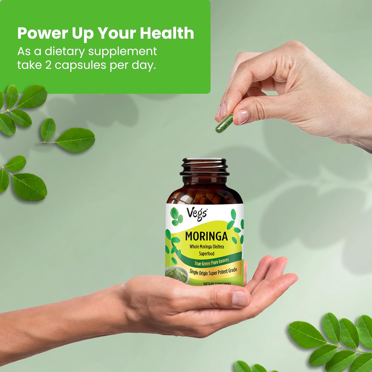 1200 mg Freeze Dried Moringa Oleifera Capsules - Immunity, Energy & Joint Health Support - 60 ct