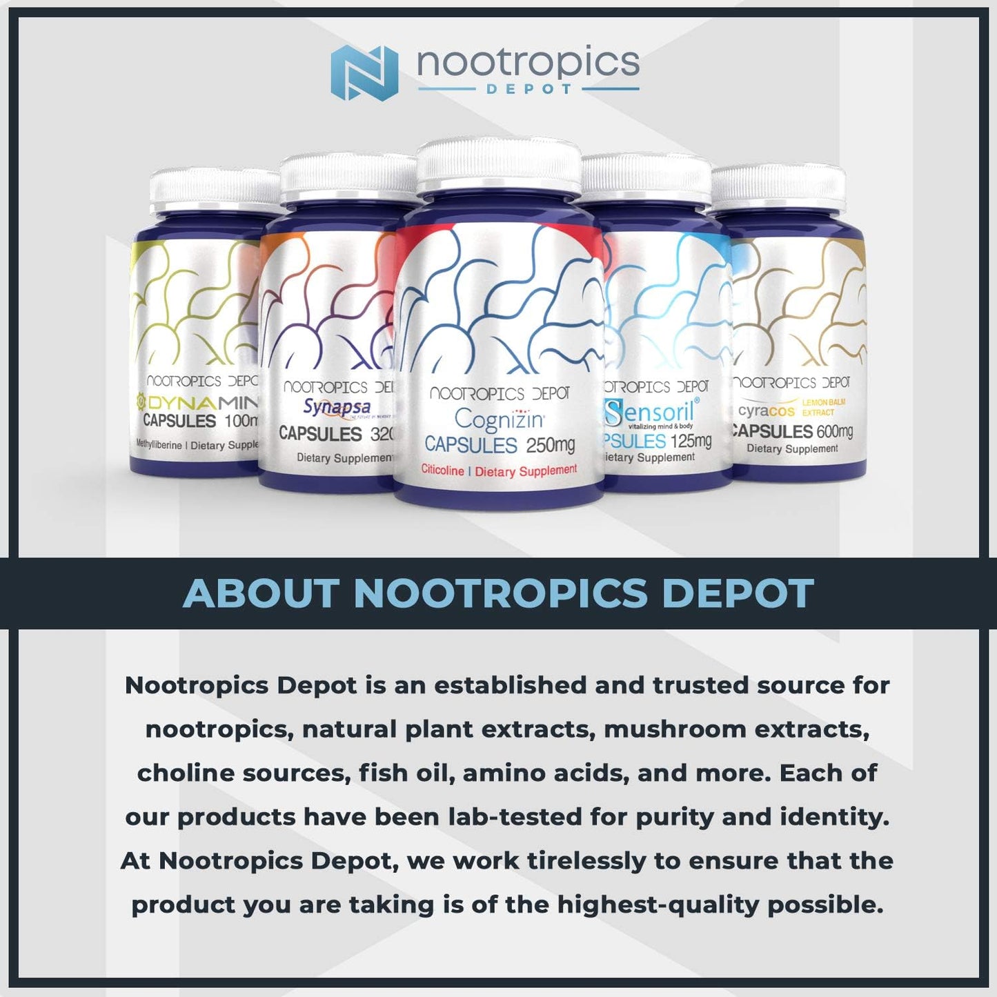 125g Nootropics Depot L-Theanine Powder - Promotes Relaxation, Supports Healthy Stress Levels, Sleep Cycles, Cognitive Function, Focus - Amino Acid Supplement