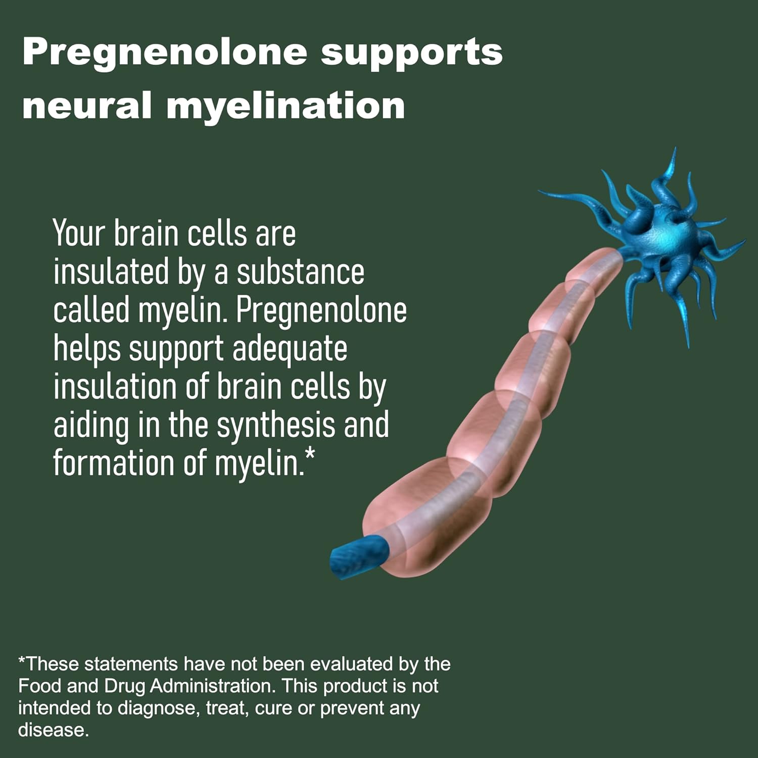 150 Capsules of LifeLink Pregnenolone 30mg for Immune System, Anti-Aging, Memory, and Cognition Support - Gluten Free, Non-GMO, Made in USA