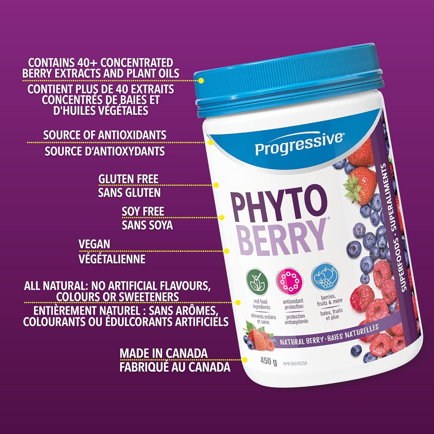 16 OZ PROGRESSIVE Phytoberry Supplement for Nutrient-Rich Antioxidant Support