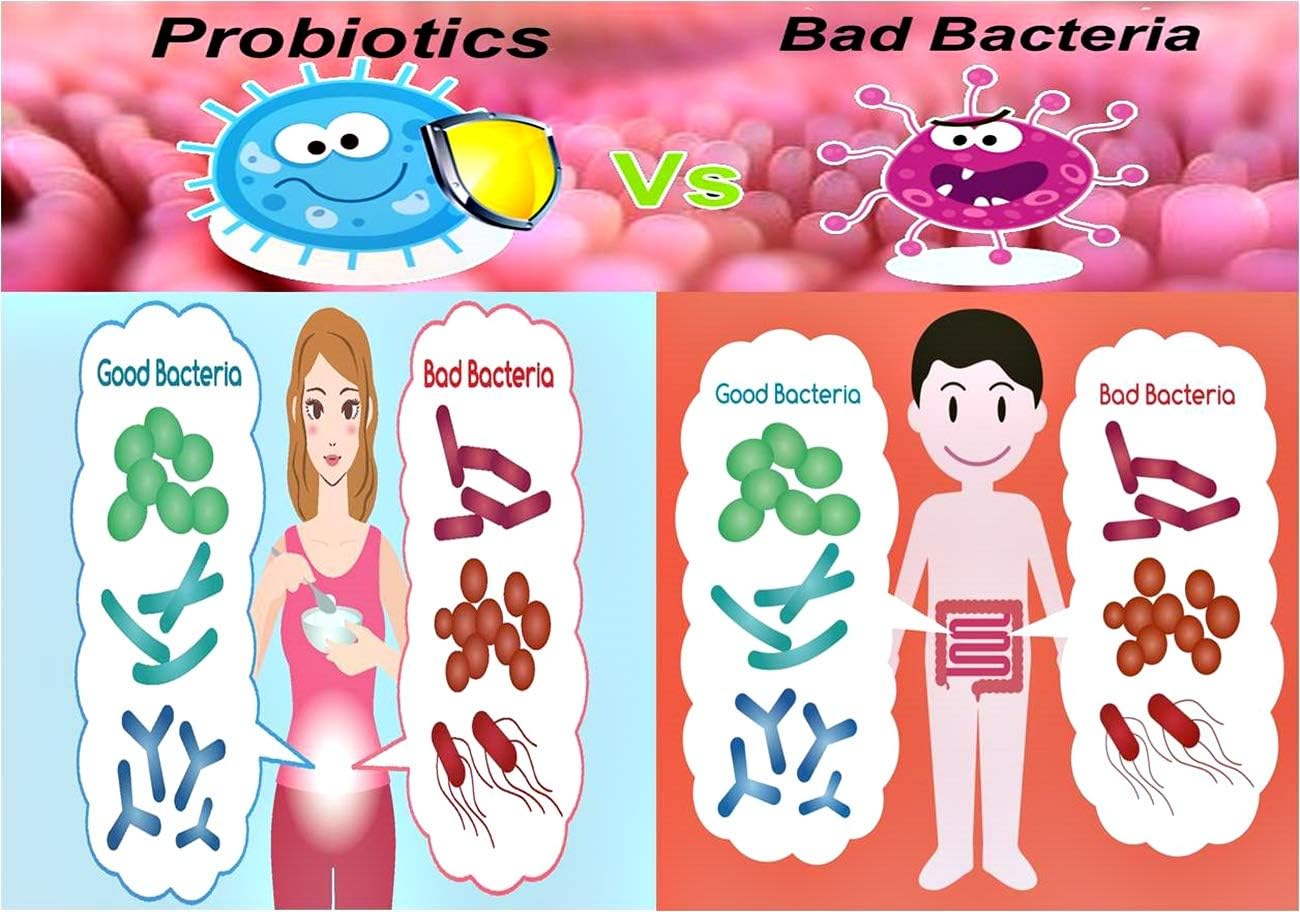 165 Billion Probiotics per Capsule - NOVA Probiotics Multi-Strain Xtreme Care - 30 VCaps