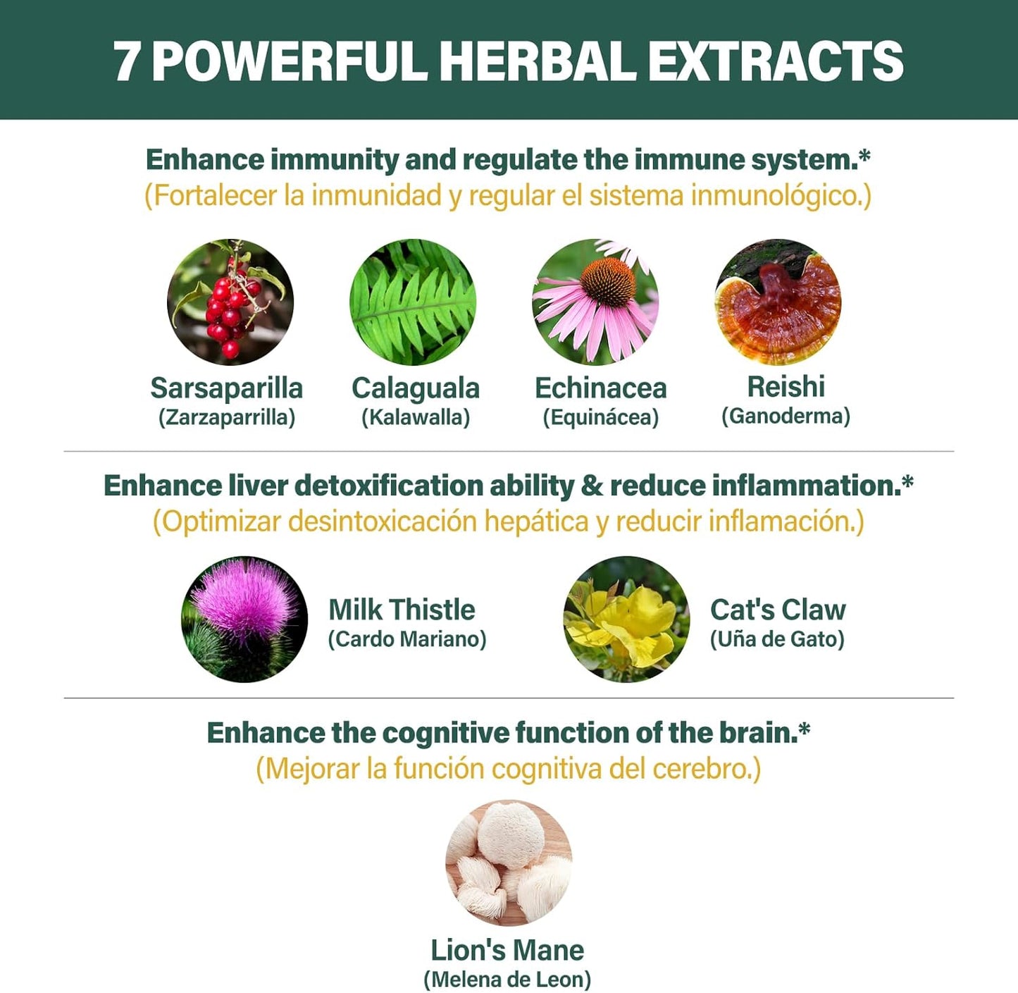 180-Capsule Fuenvegtal Kalawalla Liver Detox & Immunity Booster - Natural Support with Lion's Mane Extract & Sarsaparilla - Liver Cleanse Supplement
