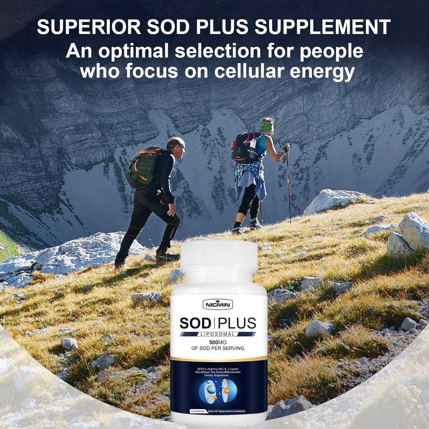 180 Capsules NICMIN Superoxide Dismutase Supplement with Liposomal Glutathione, AKG, Green Tea Extract, L-Arginine, Lysine, Resveratrol, Vitamin E - Immune Support & Antioxidant Boost