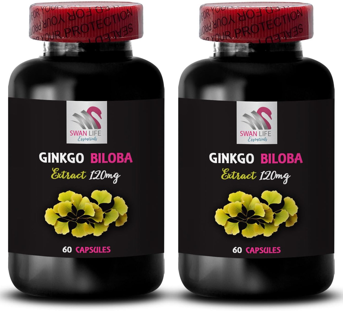 2 Bottles of SWAN LIFE ESSENTIALS Ginkgo Biloba Extract Capsules - Herbal Antioxidant Supplement for Daily Wellness Boost