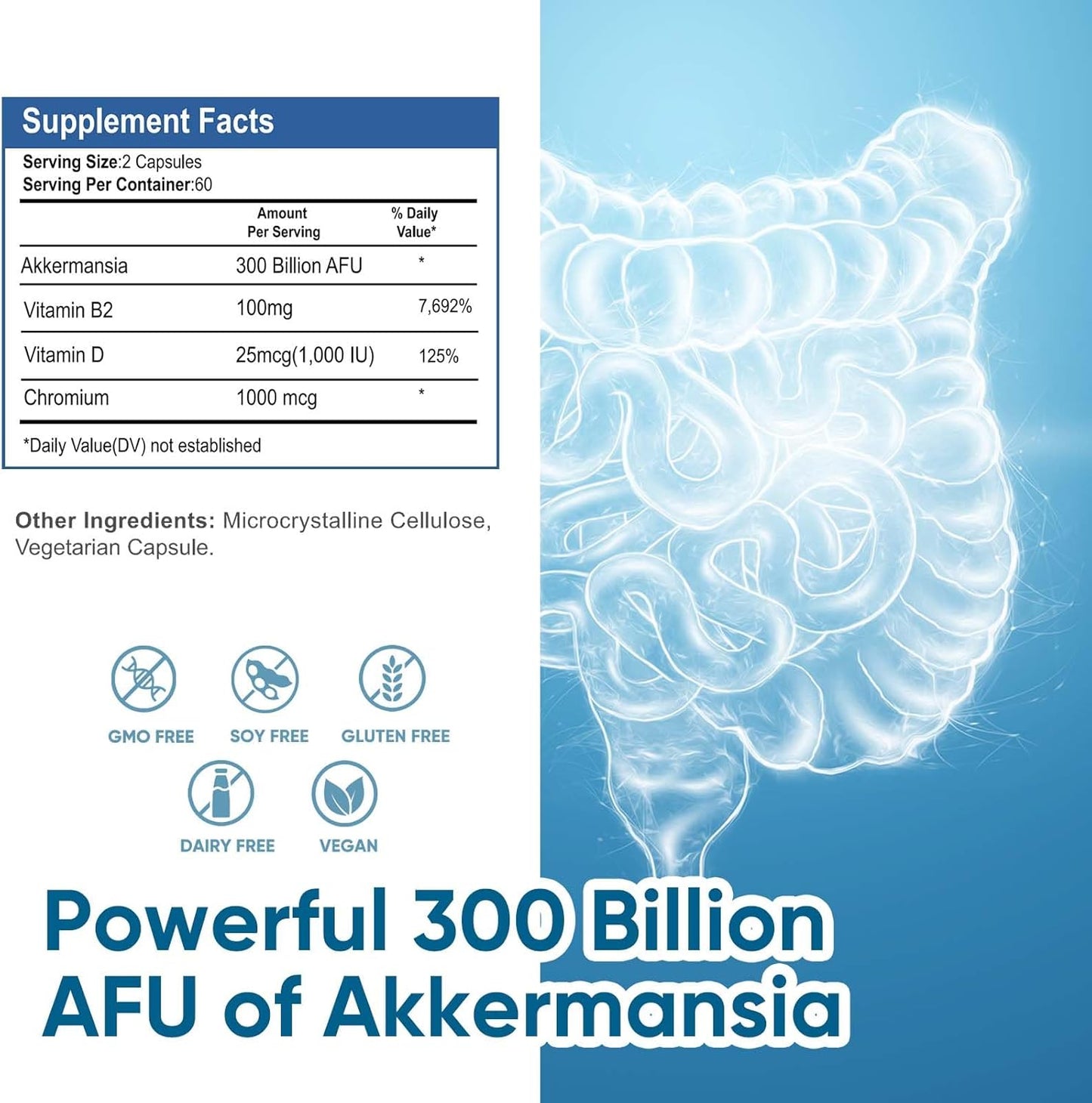 2 Pack DQQI 300 Billion AFU Akkermansia Probiotic Supplement, 120 Capsules - Supports Immune, Digestive & Overall Health, Increases GLP-1 Production for Men & Women