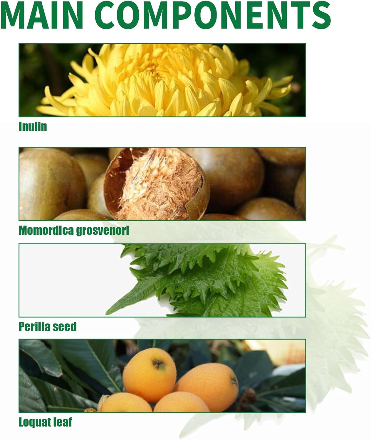 2-Pack ETUIH Organic Herbal Lung Cleanse Repair Spray - Natural Lung Cleansing and Repair Spray