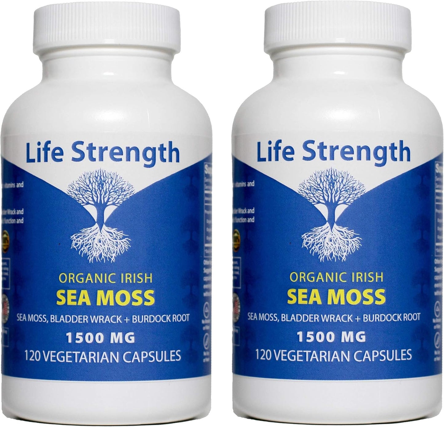2-Pack LifeStrength Sea Moss Capsules - Wildcrafted Superfood Blend for Immune, Joint, Gut Health & Thyroid Support - 240 Vegetarian Capsules