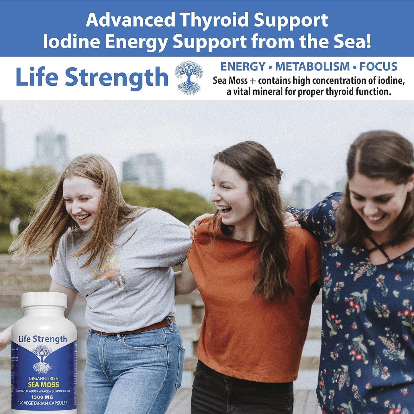 2-Pack LifeStrength Sea Moss Capsules - Wildcrafted Superfood Blend for Immune, Joint, Gut Health & Thyroid Support - 240 Vegetarian Capsules