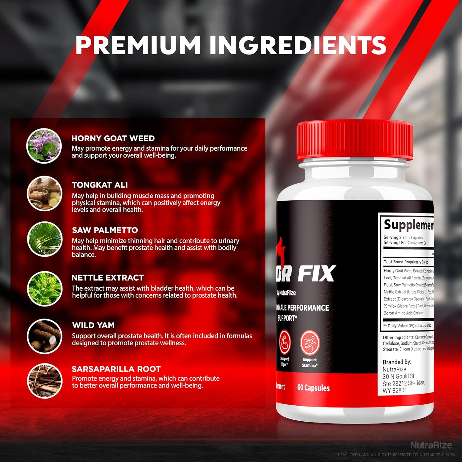 2 Pack NutraRize Vigor Fix Male Supplement - Daily Nutrition Capsules for Confidence, Energy, and Overall Health - 120 Capsules