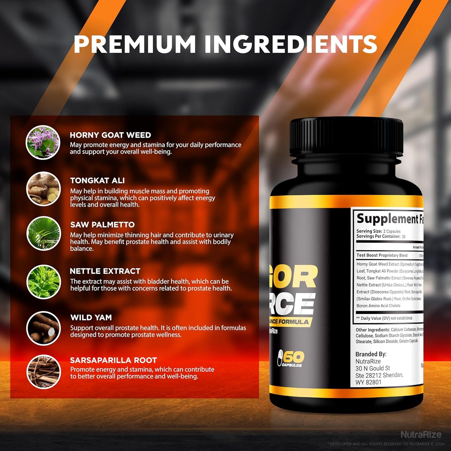 2 Pack NutraRize Vigor Force for Men Capsules - High Performance Male Dietary Supplement for Overall Health and Wellness - 120 Capsules