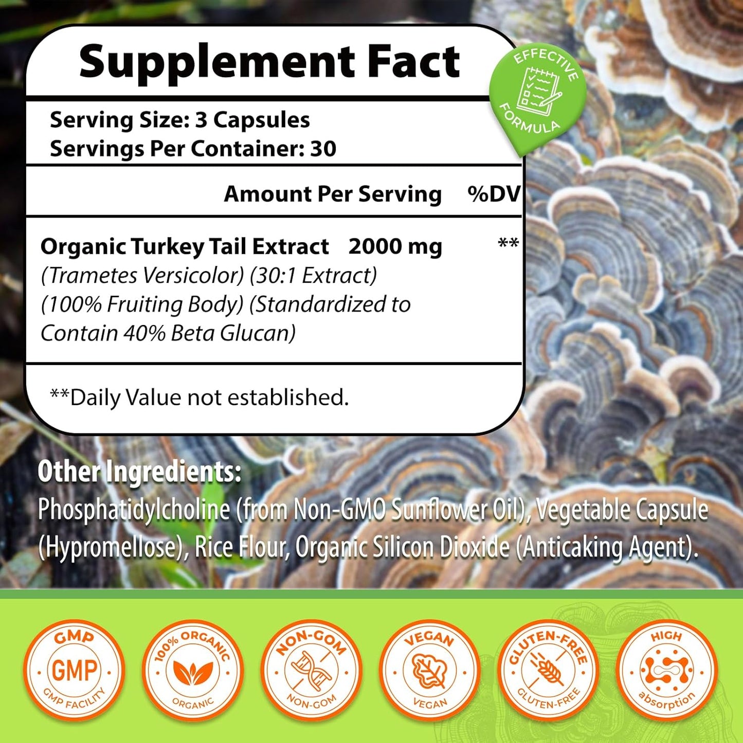 2000MG Turkey Tail Mushroom Capsules for Digestive Health & Immune Support - High Absorption Supplement for Gut Microbiome, Energy & Brain Health - 3 Pack