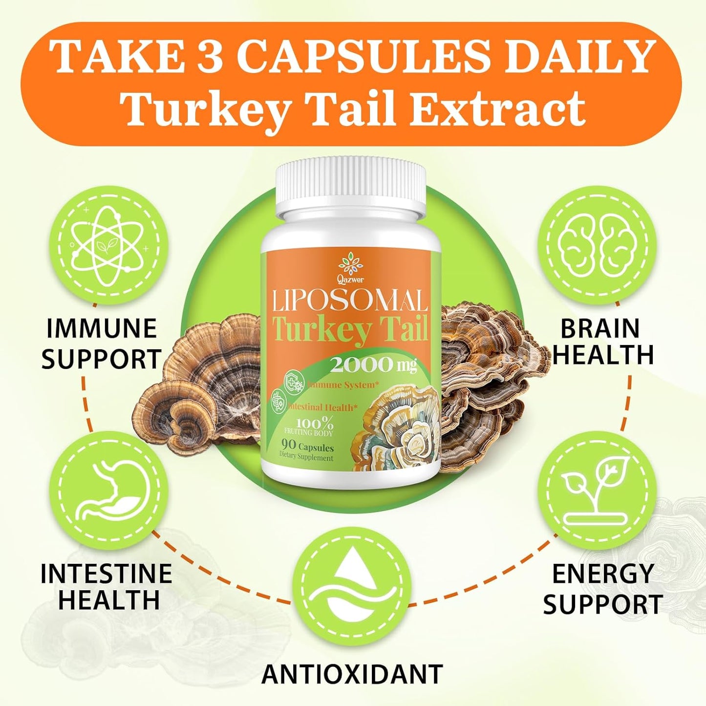 2000MG Turkey Tail Mushroom Capsules for Digestive Health & Immune Support - High Absorption Supplement for Gut Microbiome, Energy & Brain Health - 3 Pack
