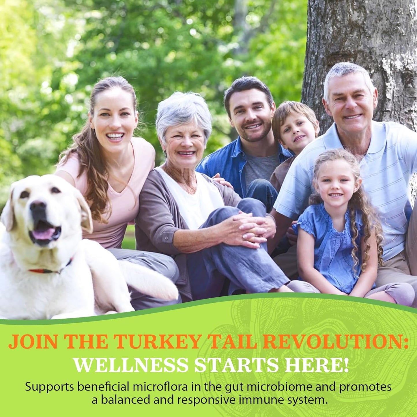 2000MG Turkey Tail Mushroom Capsules for Digestive Health & Immune Support - High Absorption Supplement for Gut Microbiome, Energy & Brain Health - 3 Pack