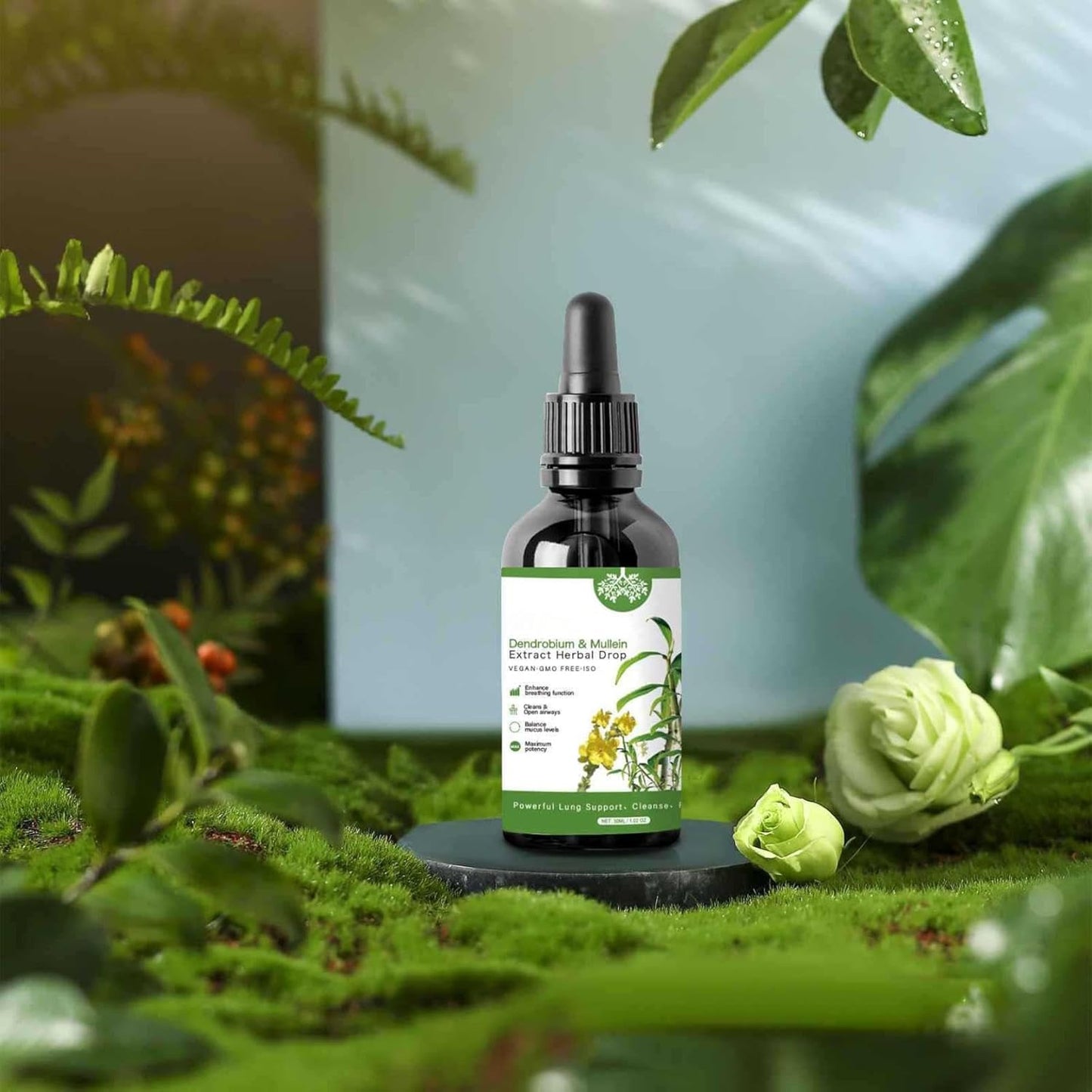 2024 SGJHEQ Dendrobium & Mullein Extract Herbal Drops for Lung Support - 30ml, 1Oz Box - Herbal Care Essence