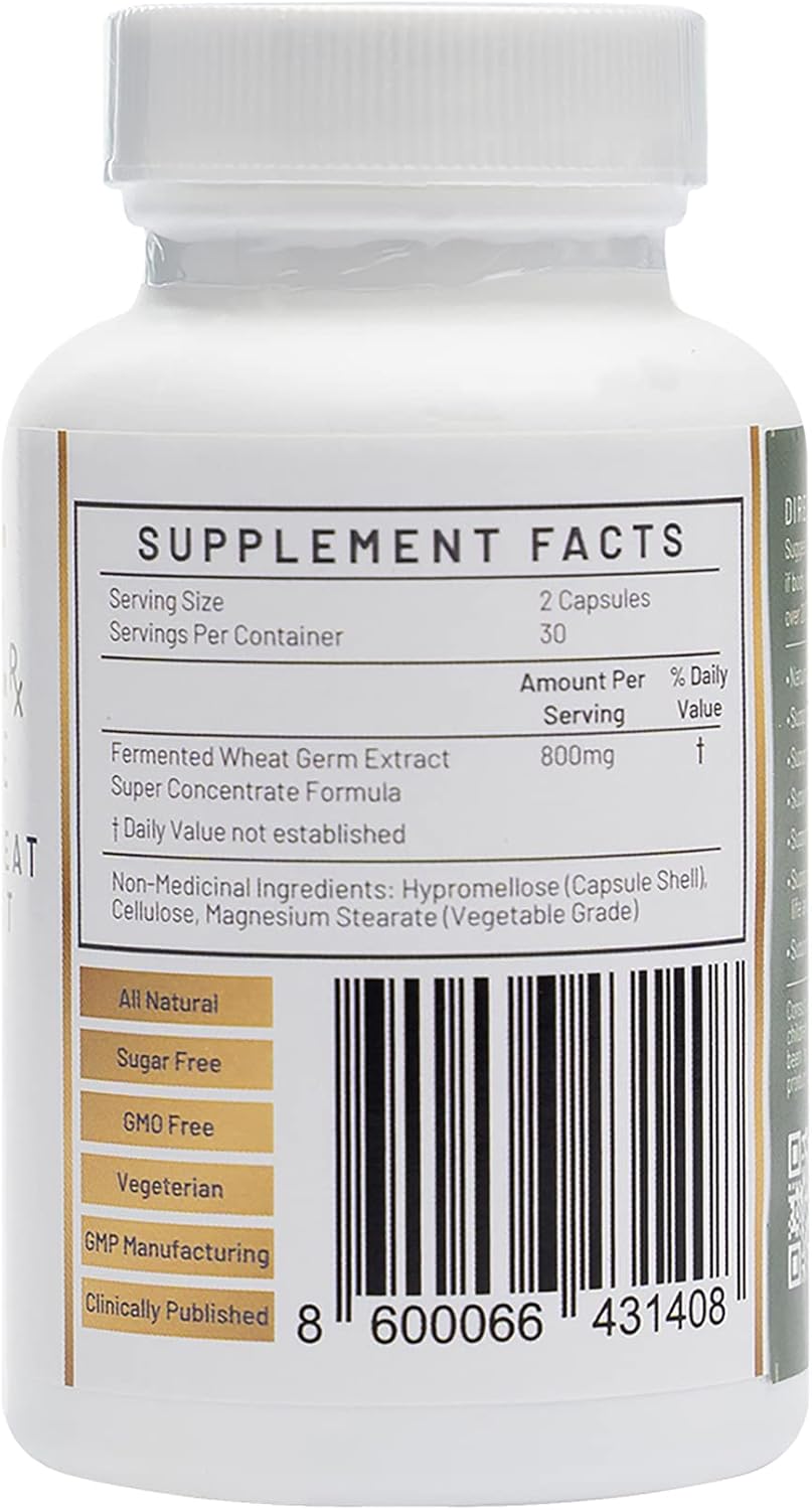 240 Capsules of FWGE Rx BioSCIENCE Spermidine for Longevity and Cellular Health - Fermented Wheat Germ Extract, Autophagy Inducer, Non-GMO, Gluten-Free, Sugar-Free, Vegan, Antioxidant