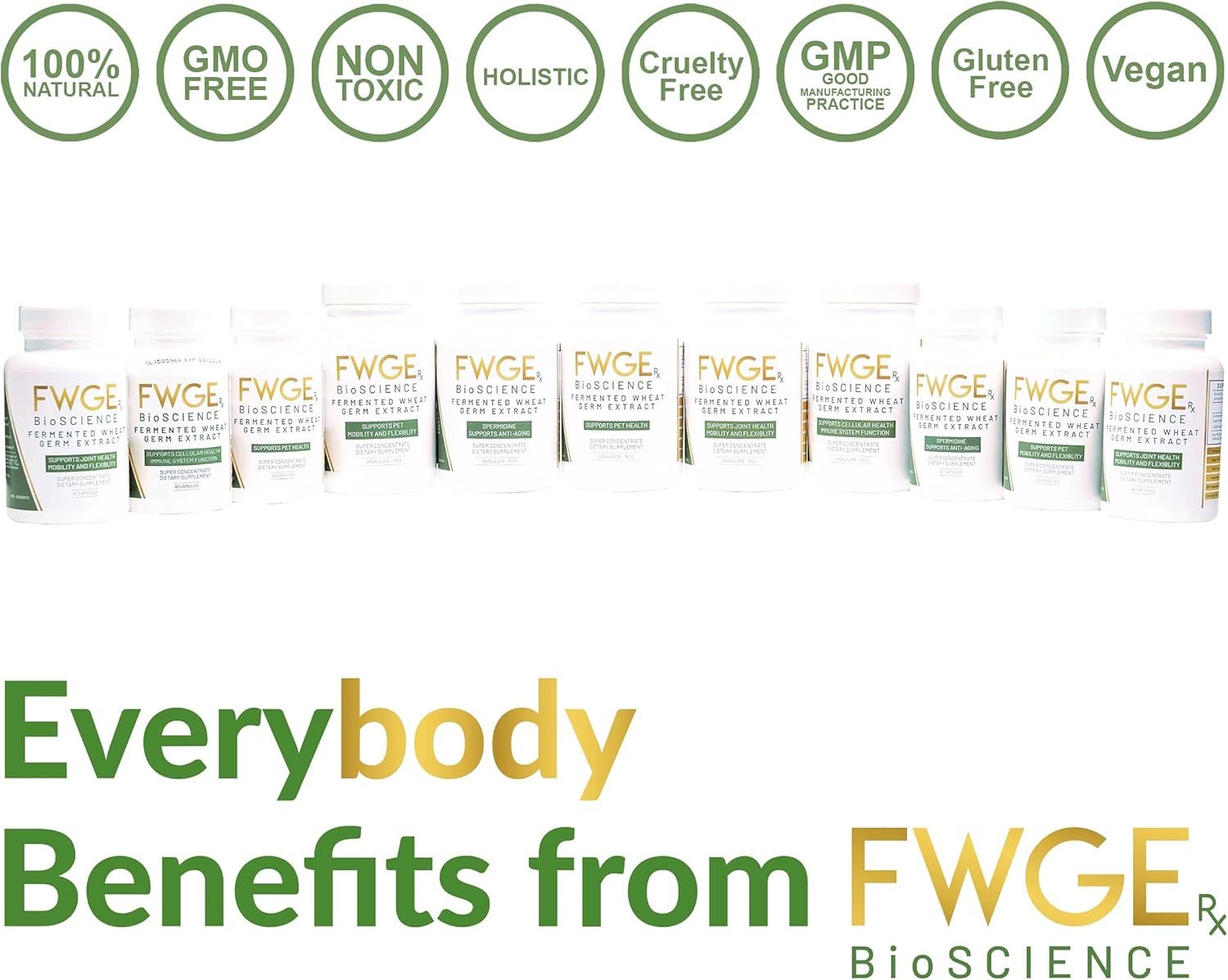 240 Capsules of FWGE Rx BioSCIENCE Spermidine for Longevity and Cellular Health - Fermented Wheat Germ Extract, Autophagy Inducer, Non-GMO, Gluten-Free, Sugar-Free, Vegan, Antioxidant