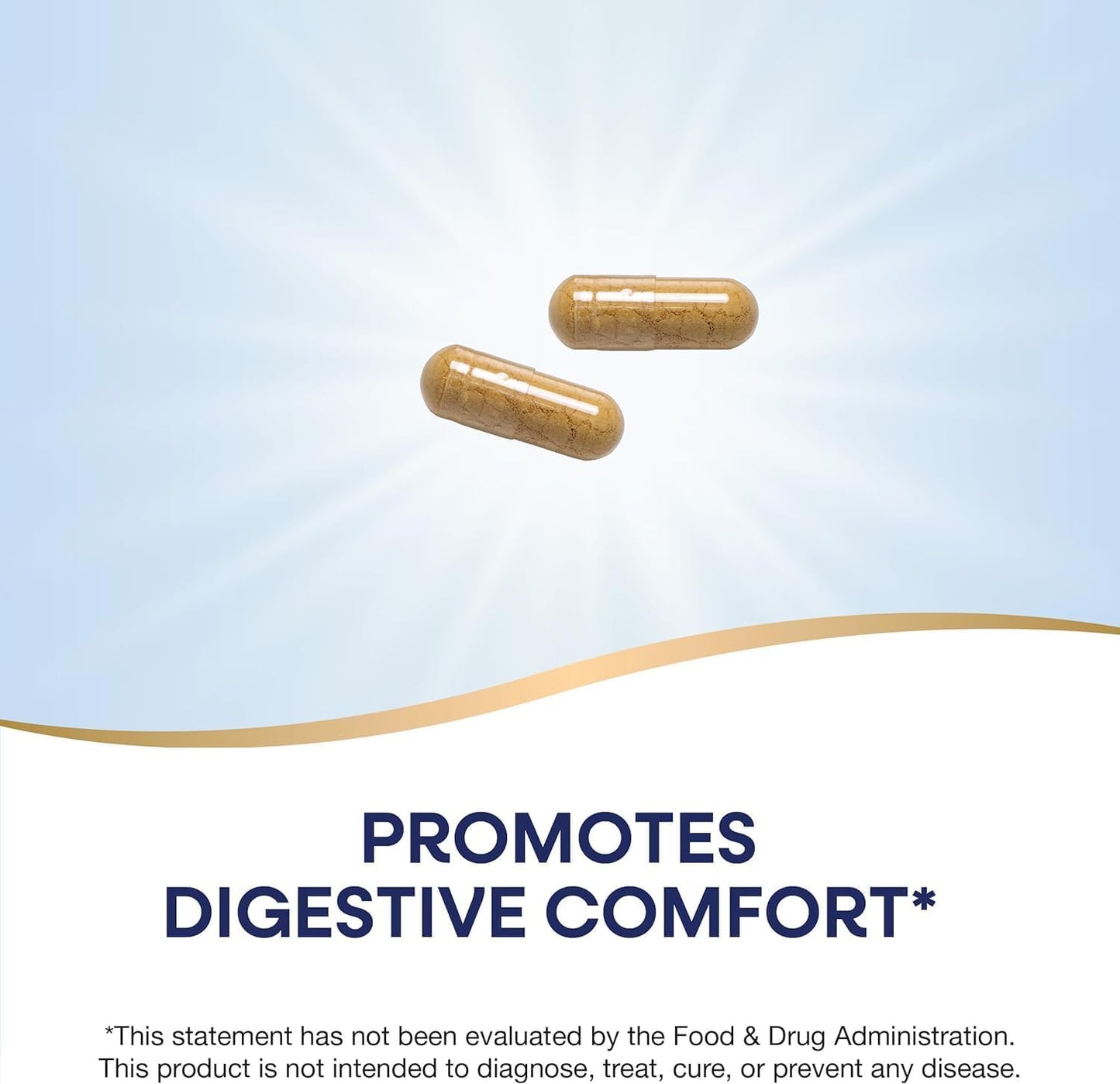240 Capsules of Natrue Mad Ginger Root for Digestive Comfort - Compatible with Nature's Way