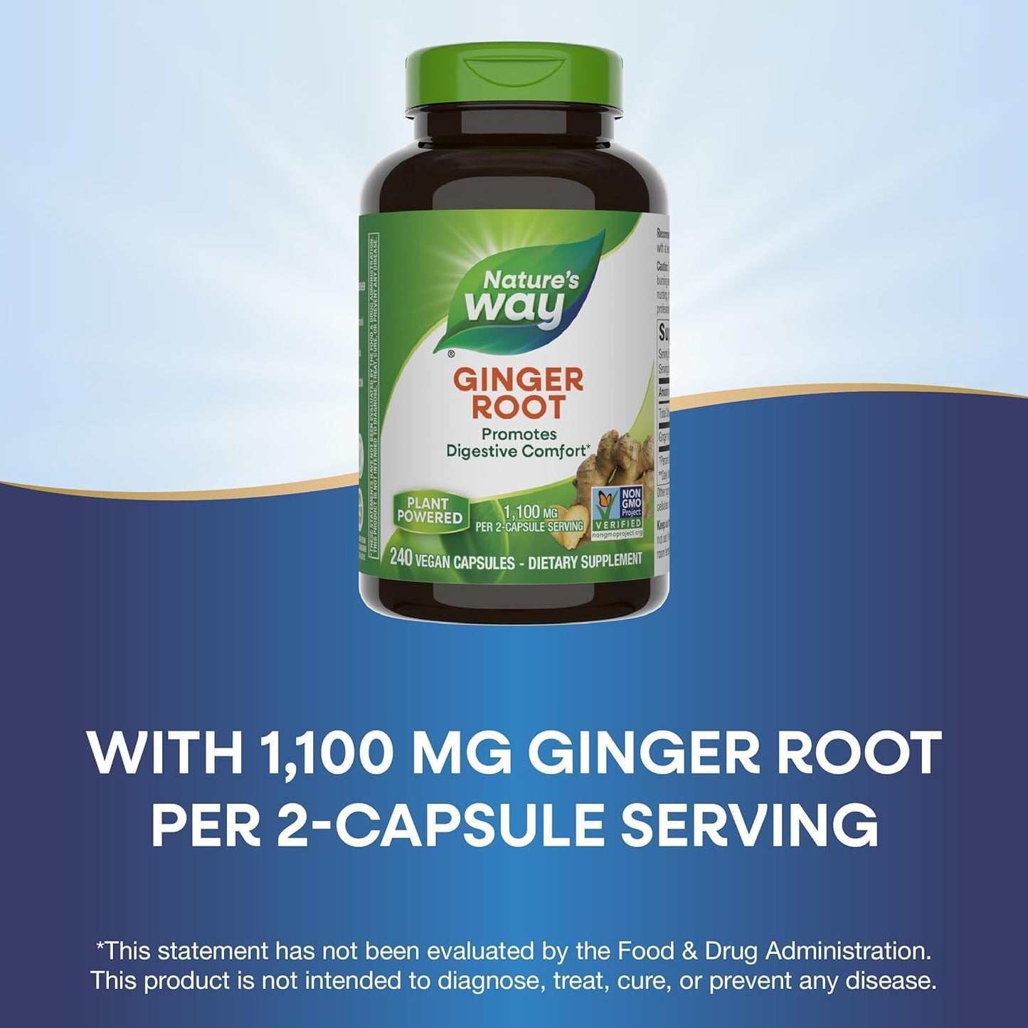 240 Capsules of Natrue Mad Ginger Root for Digestive Comfort - Compatible with Nature's Way