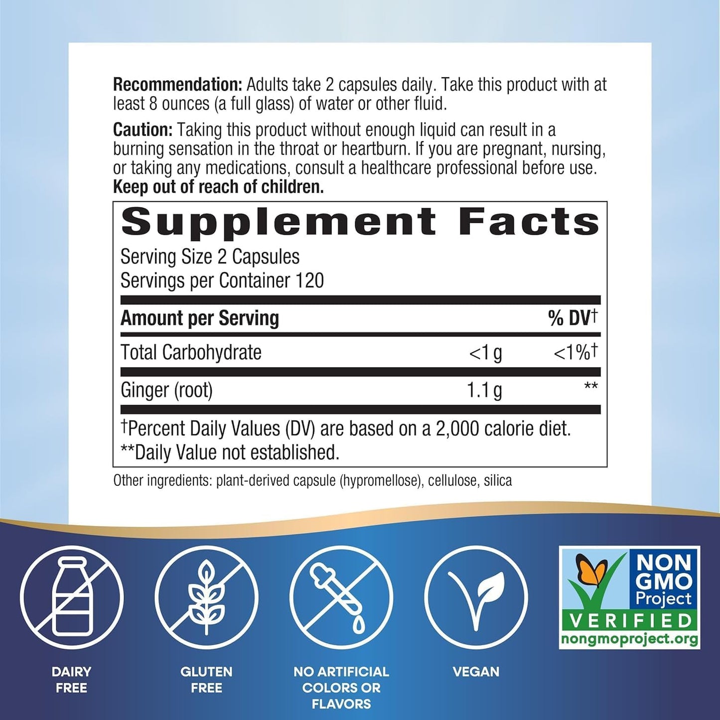 240 Capsules of Natrue Mad Ginger Root for Digestive Comfort - Compatible with Nature's Way
