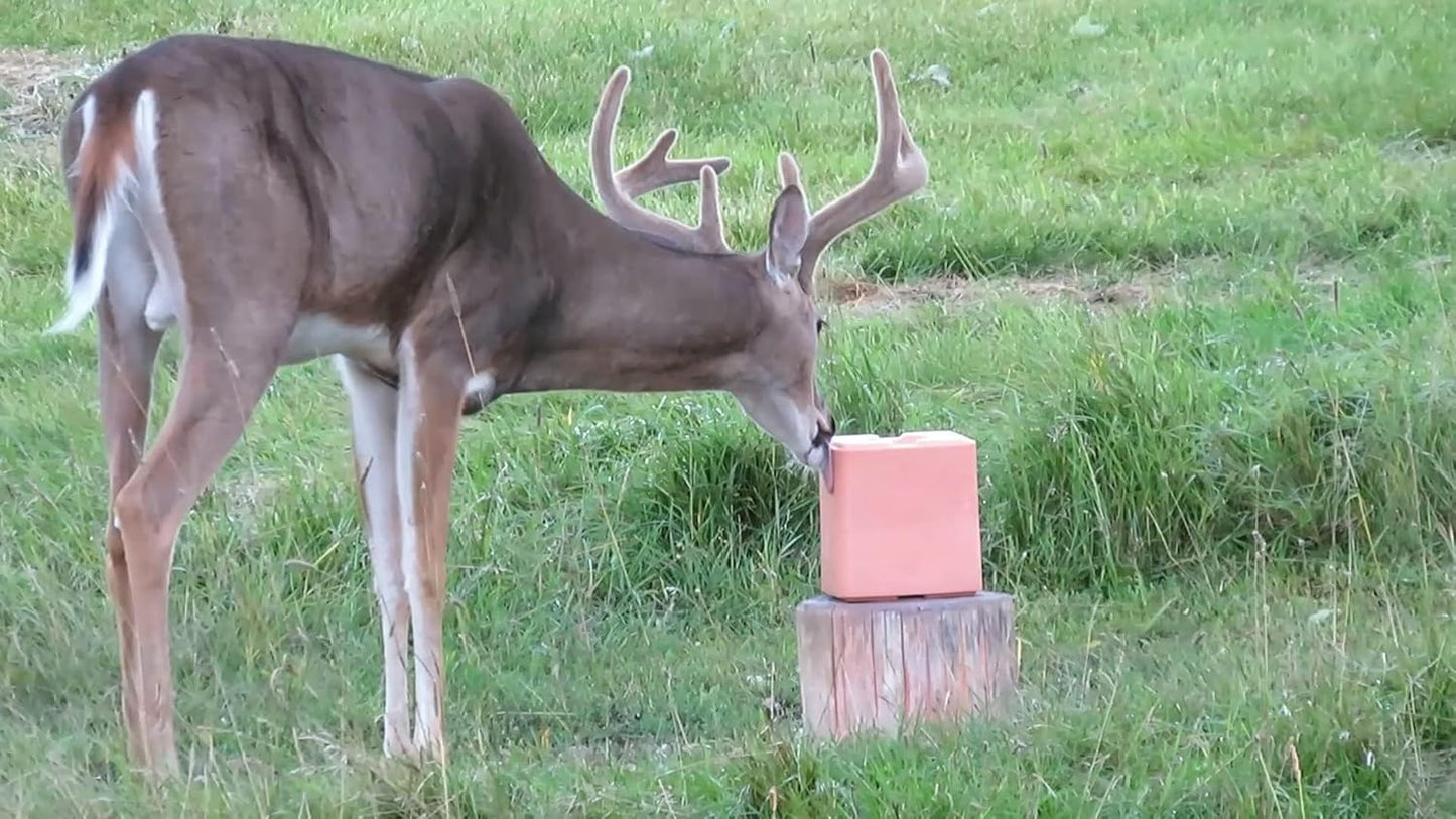 25 LB Sweet Apple Deer Lick Attractant Block - Irresistible Nutrition for Deer, Long-Lasting Formula