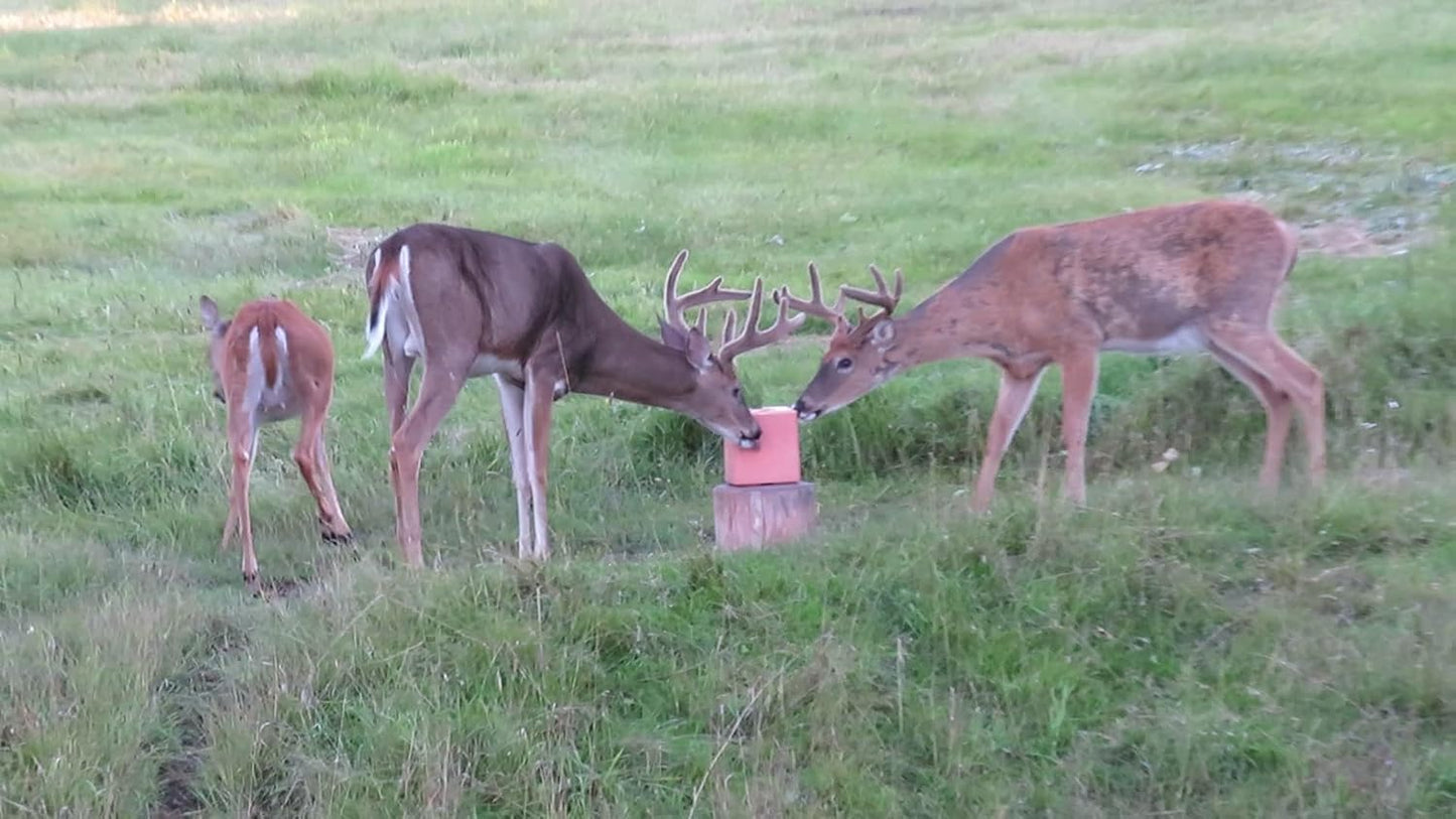 25 LB Sweet Apple Deer Lick Attractant Block - Irresistible Nutrition for Deer, Long-Lasting Formula