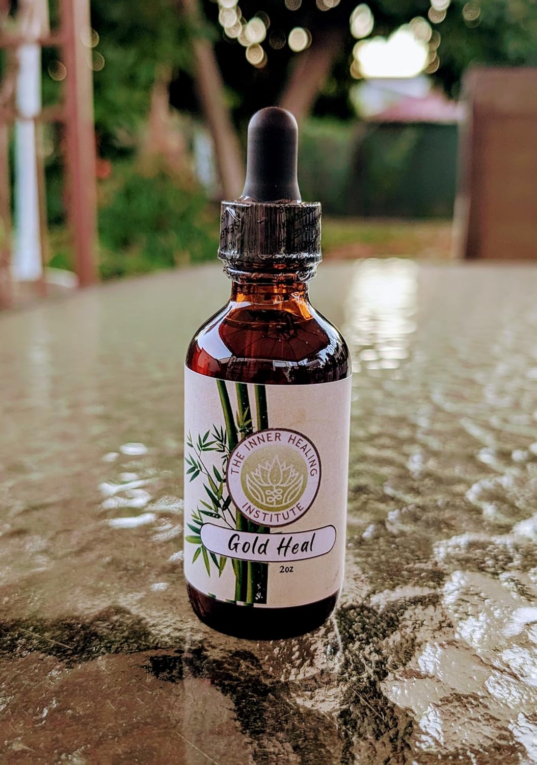 2oz Gold Heal Tincture Supplement with B12 - Natural Antibiotic for Infections, Oral Drops to Accelerate Healing Process