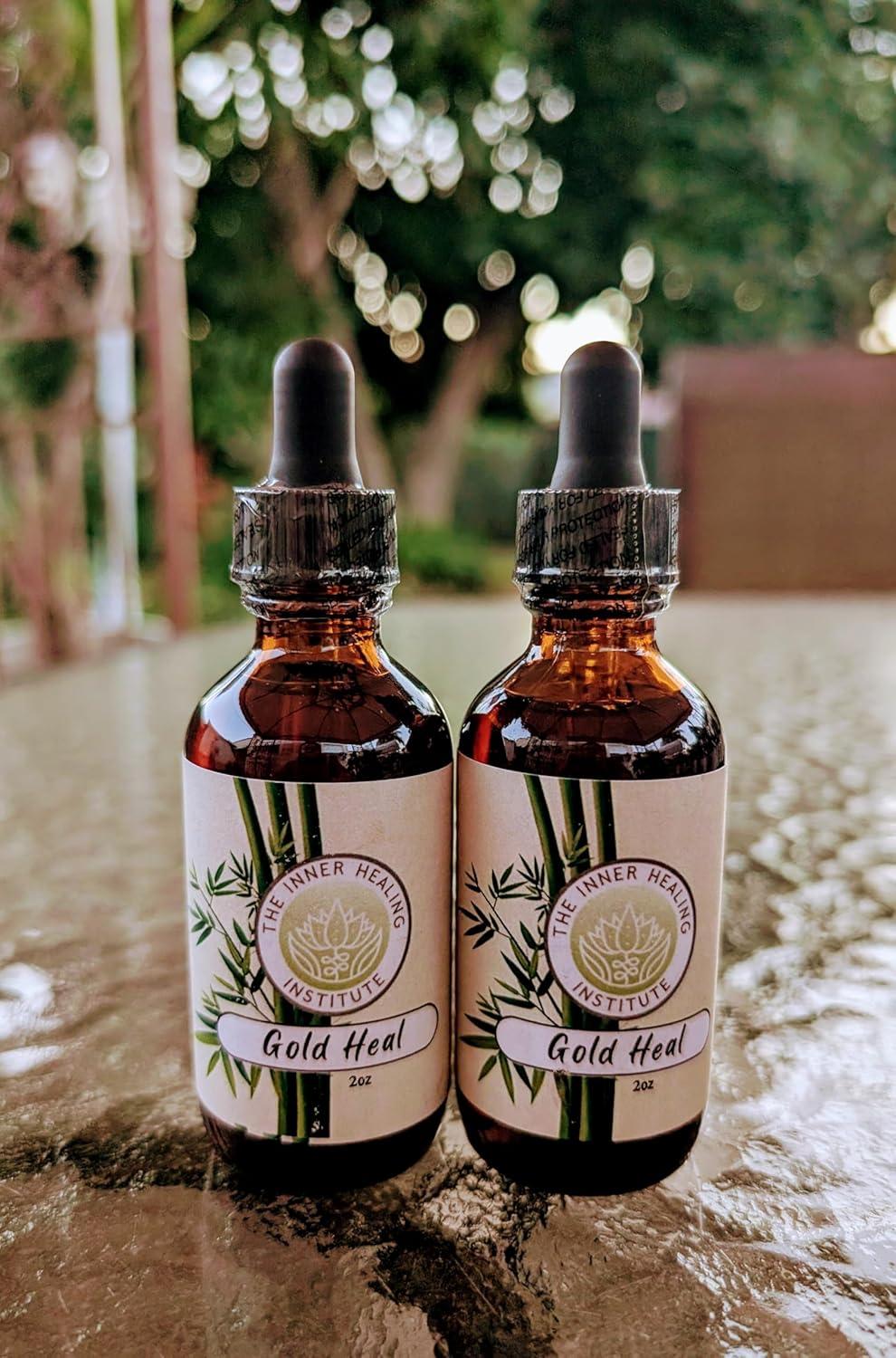2oz Gold Heal Tincture Supplement with B12 - Natural Antibiotic for Infections, Oral Drops to Accelerate Healing Process