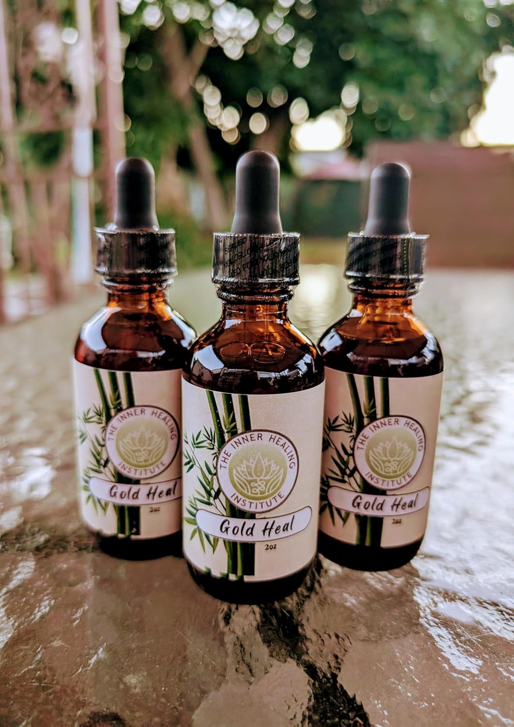 2oz Gold Heal Tincture Supplement with B12 - Natural Antibiotic for Infections, Oral Drops to Accelerate Healing Process