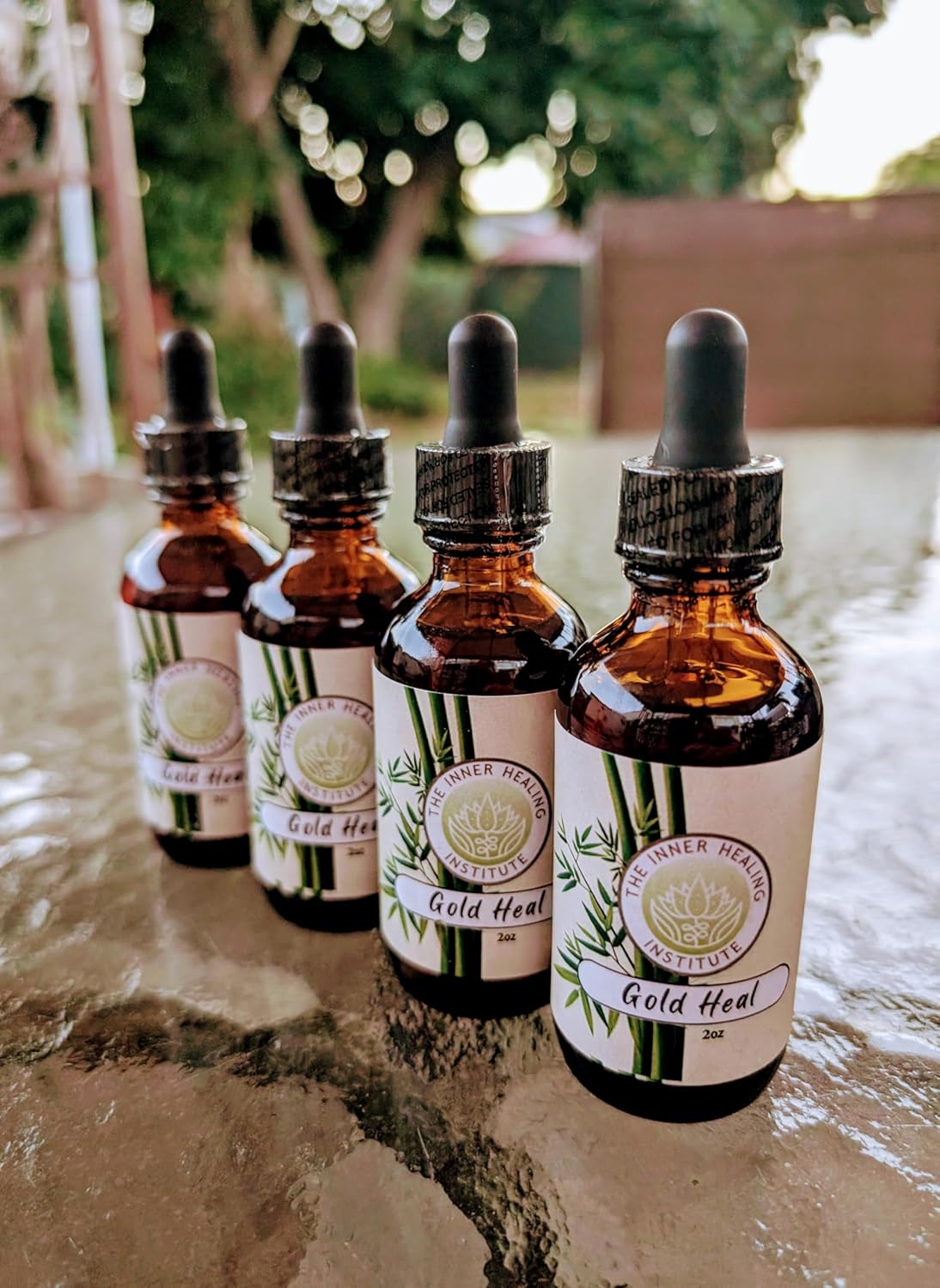 2oz Gold Heal Tincture Supplement with B12 - Natural Antibiotic for Infections, Oral Drops to Accelerate Healing Process