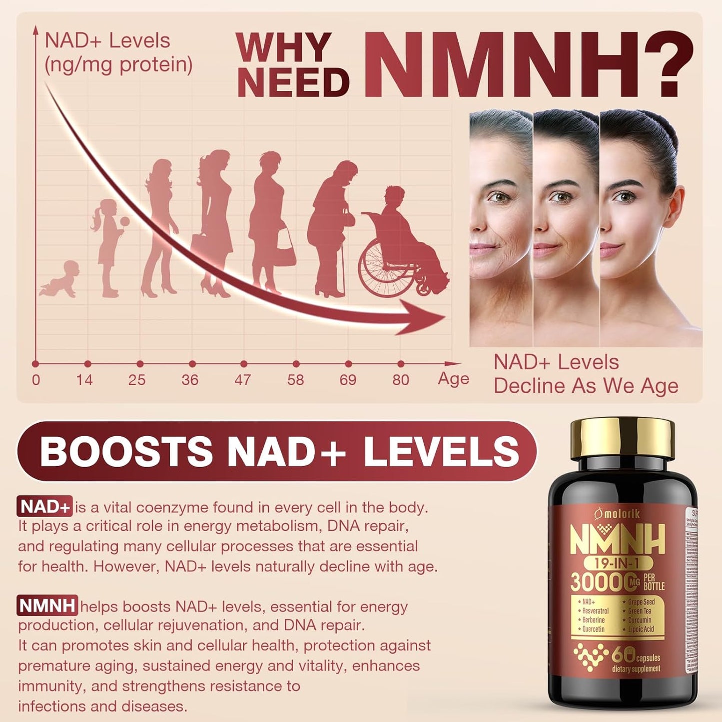 2PACK Molorik NAD+ Resveratrol Supplement 1000mg - Boost Energy & Focus - Anti Aging with Quercetin & Berberine - 19-in-1 NMNH Formula