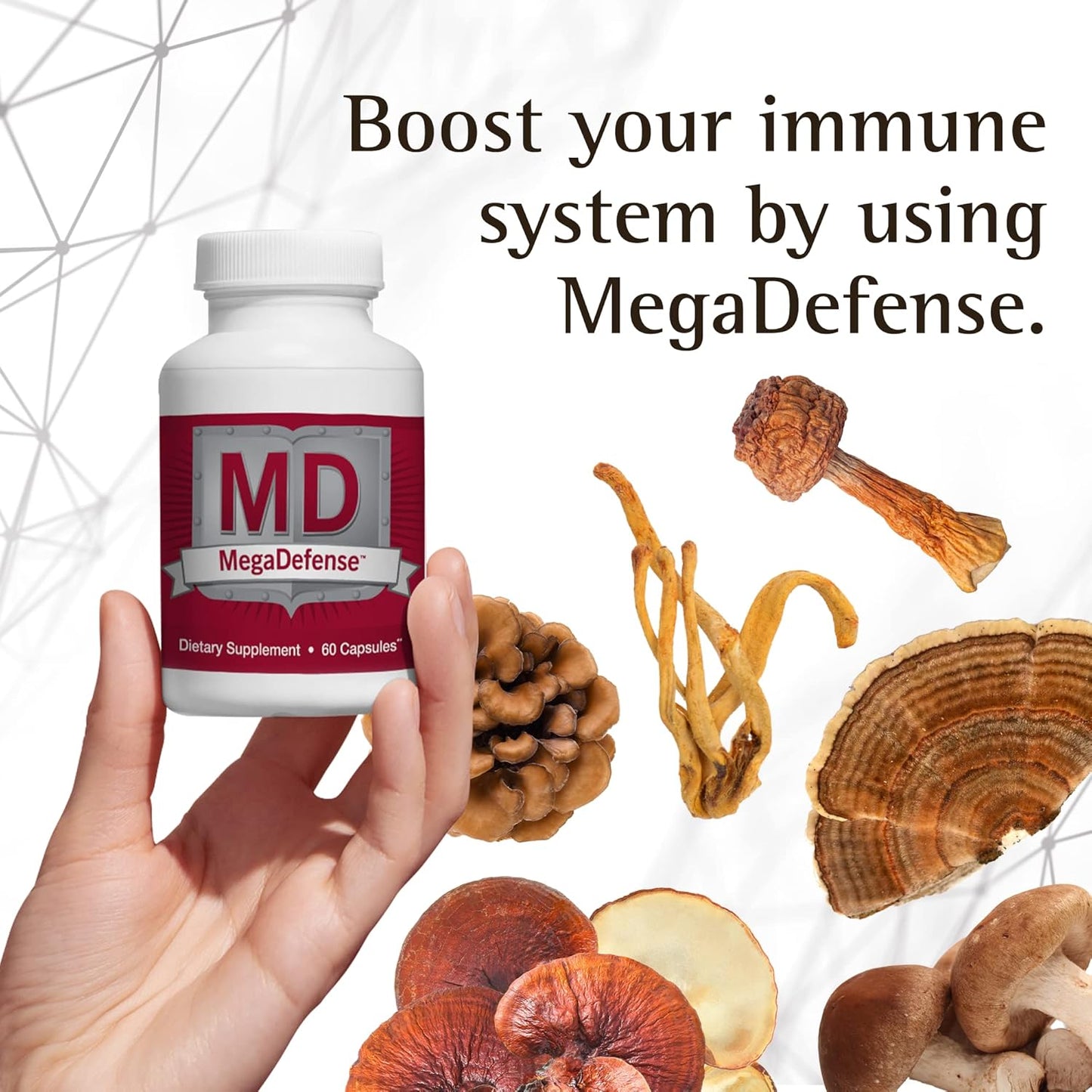3 Bottles of Waiora MegaDefense Mushroom Capsules - Daily Wellness Supplement with Reishi, Turkey Tail, Cordyceps, Maitake, Agaricus & Shiitake - Non-GMO (60 Veggie Caps)