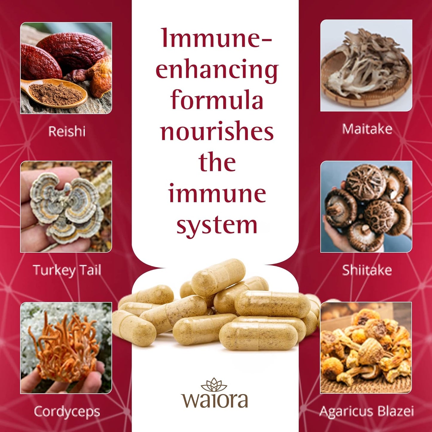 3 Bottles of Waiora MegaDefense Mushroom Capsules - Daily Wellness Supplement with Reishi, Turkey Tail, Cordyceps, Maitake, Agaricus & Shiitake - Non-GMO (60 Veggie Caps)