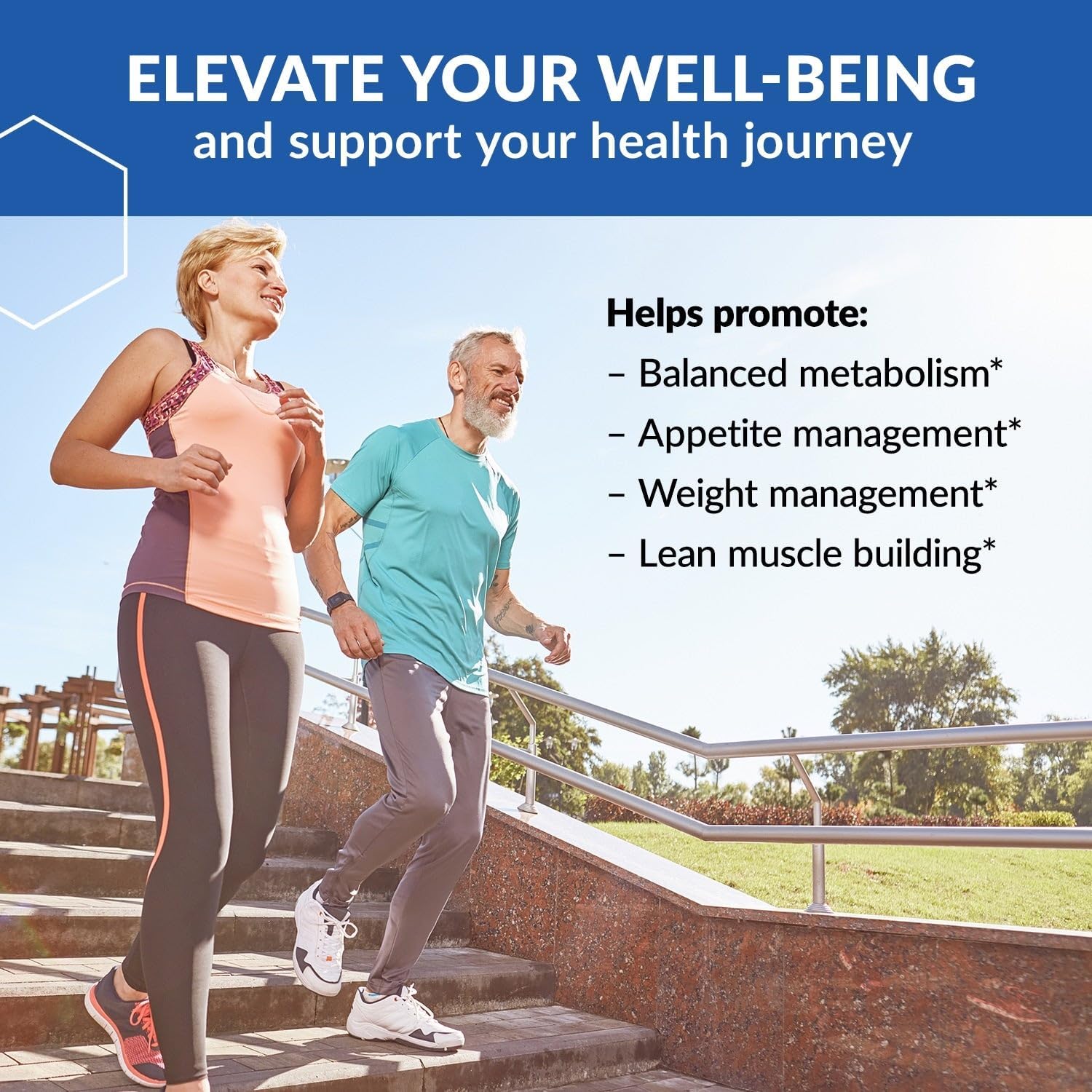 3-Pack of BioTrust Low Carb Protein Powder: Natural Whey & Casein Blend from Grass-Fed Cows - Chocolate Flavor, Non-GMO, Soy-Free, Gluten-Free