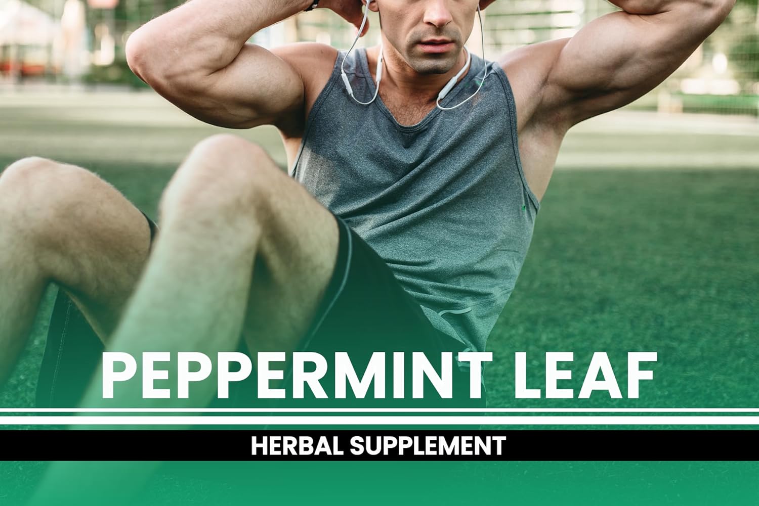 365 Capsules of Pure Peppermint Leaf - No Magnesium or Rice Fillers - Lab Verified Quality