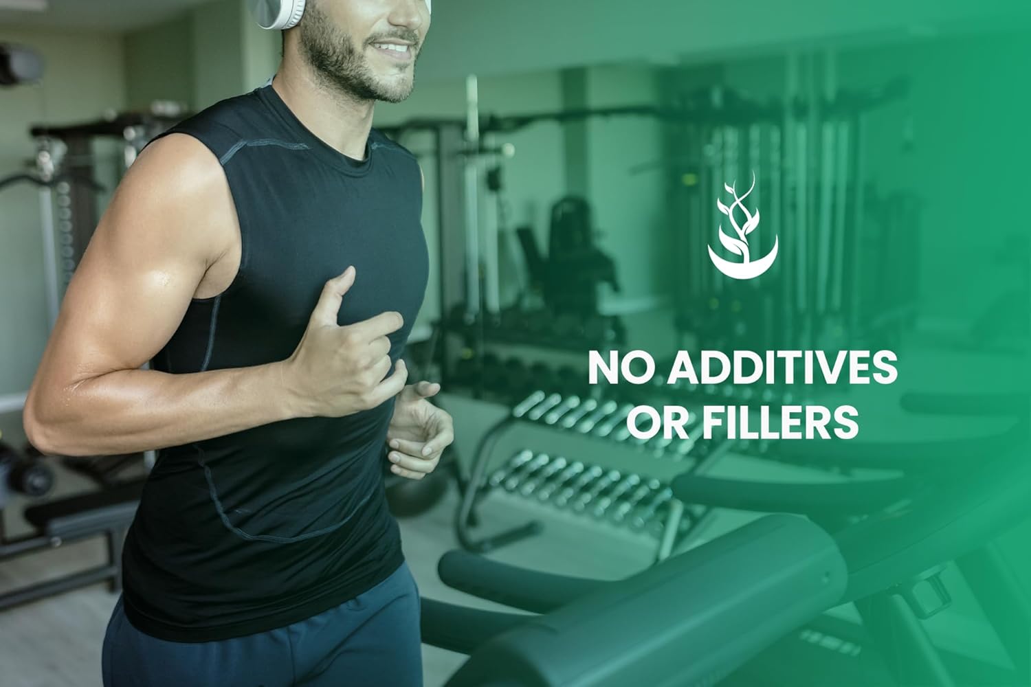 365 Capsules of Pure Peppermint Leaf - No Magnesium or Rice Fillers - Lab Verified Quality
