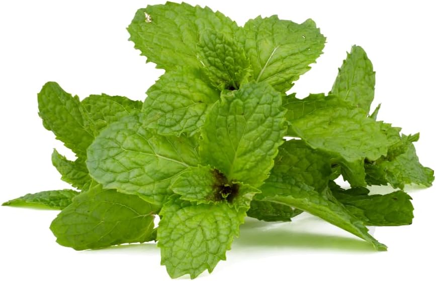 365 Capsules of Pure Peppermint Leaf - No Magnesium or Rice Fillers - Lab Verified Quality