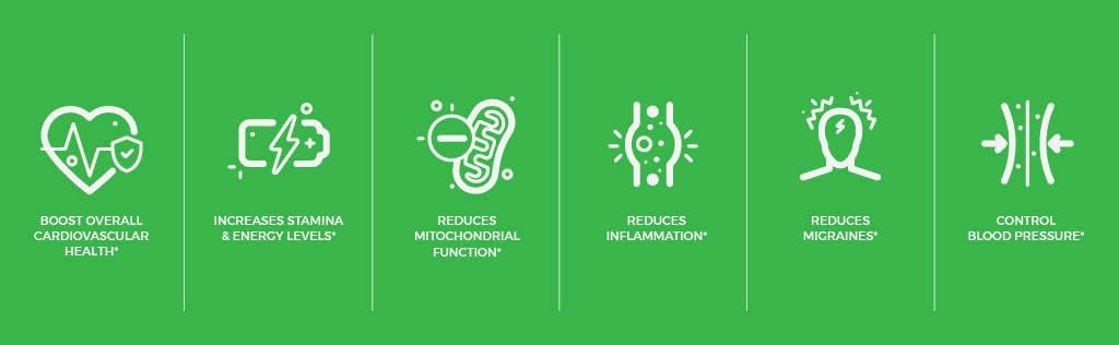 sundhed-natural-coq10-capsules-with-resveratrol---antioxidant-supplement-for-power-and-health-5