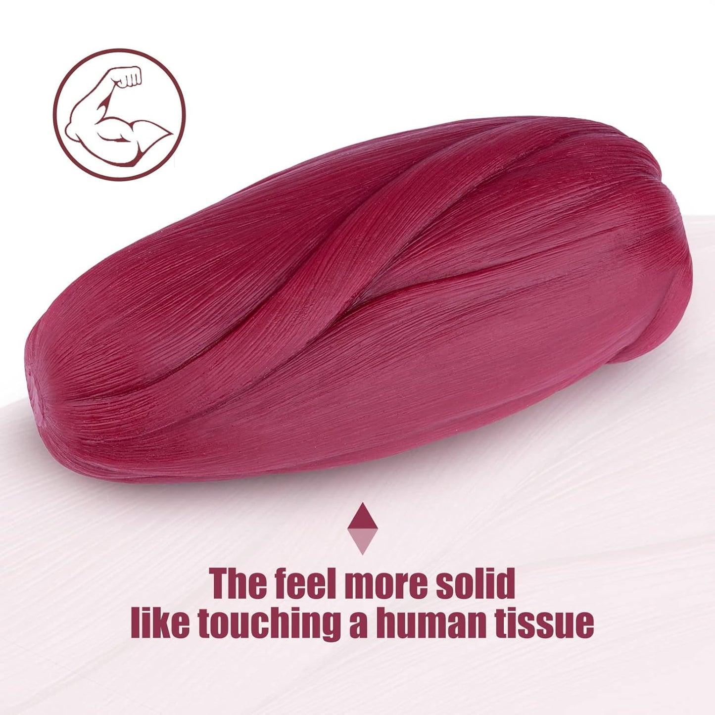 5 lb Muscle Replica Model for Fitness Enthusiasts, Nutritionists, and Athletes - Medarchitect Fitness Encouragement