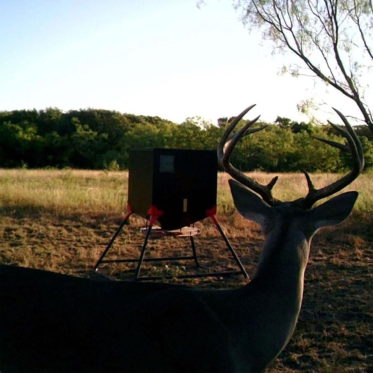 500 LB Stubby by Monarch Hunting Products: Durable and Reliable Hunting Gear for Every Trip