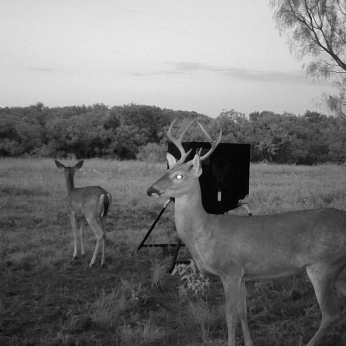 500 LB Stubby by Monarch Hunting Products: Durable and Reliable Hunting Gear for Every Trip