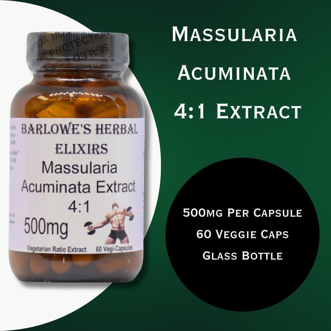 500mg Massularia Acuminata Extract Capsules for Vitality & Wellness | 4:1 Potent Herbal Supplement | 60 Veggie Capsules | Stearate-Free | Glass Bottled