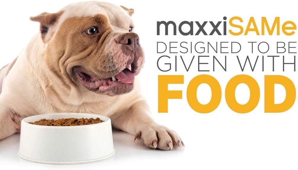 bundle-for-dogs-urinary-health---sam-e-support-canine-bladder-supplement-by-maxxipaws-4