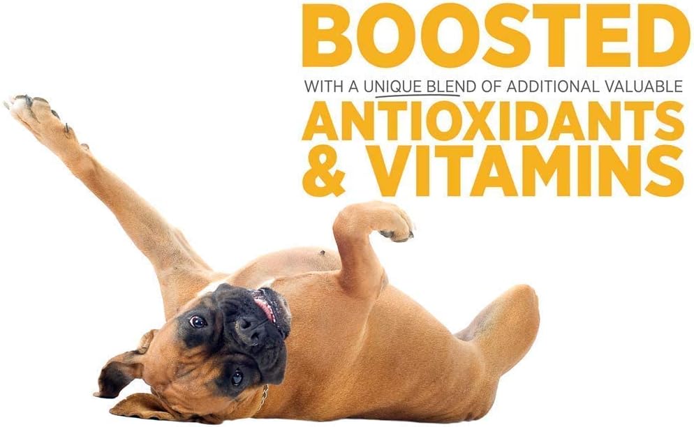 bundle-for-dogs-urinary-health---sam-e-support-canine-bladder-supplement-by-maxxipaws-3